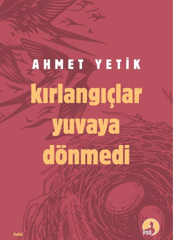 Kırlangıçlar Yuvaya Dönmedi kitap kapağı